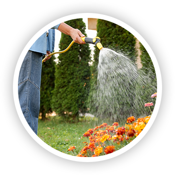 person watering flowers in a flower bed